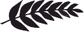 galazka1