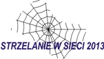 Logo - strzelanie w sieci 2013